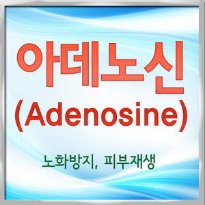 액상 아데노신(아데노좀,Adenosine)