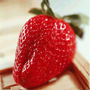 딸기 프래그런스(Strawberry F.O)10ml, 30ml, 50ml, 100ml