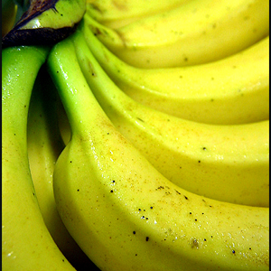 바나나향 플레이버 오일(Banana Fl.O)12ml, 30ml, 50ml