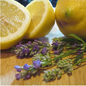 레몬&amp;amp;라벤더[lemon&amp;amp;lavender](yankee candle type)
